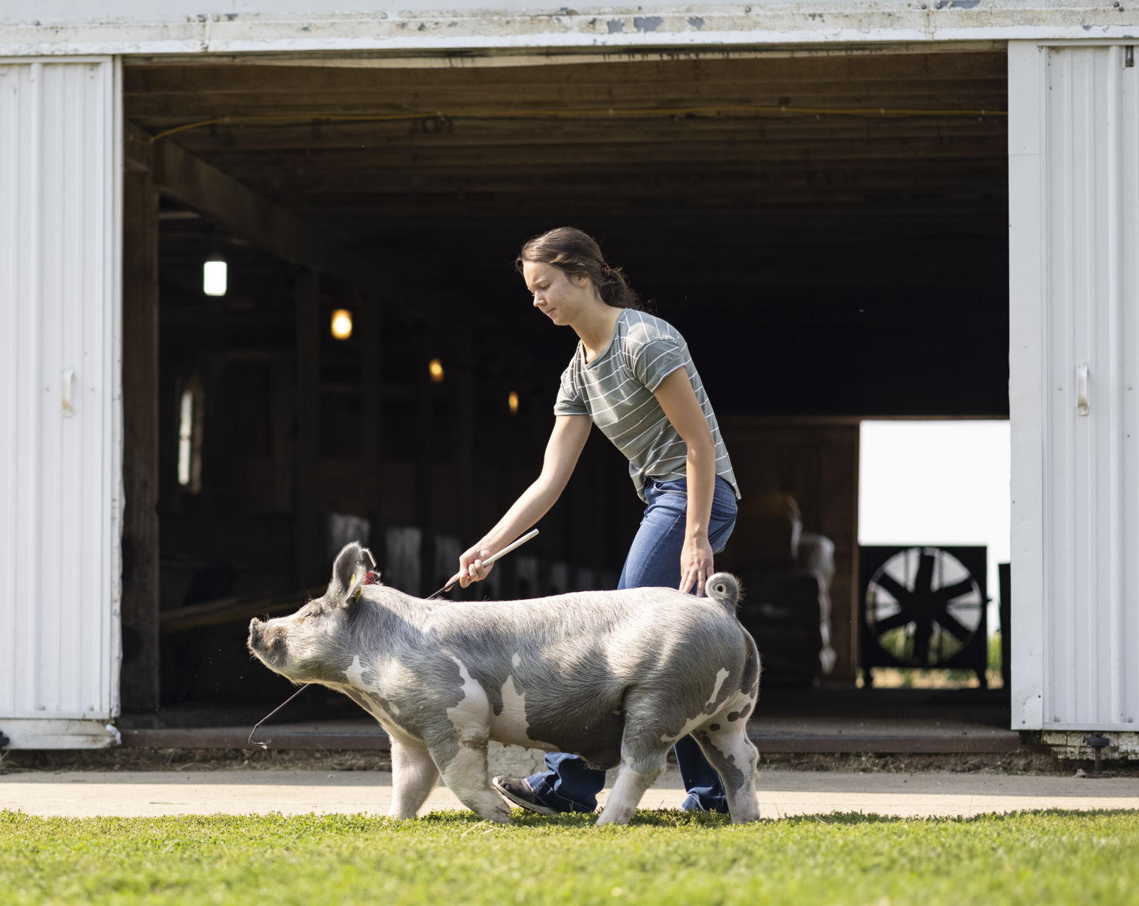 Plymouth County Fair Preview